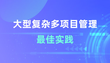 大型复杂多项目管理最佳实践